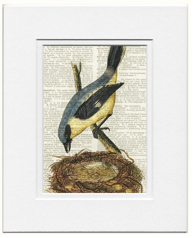 bird IX-  vintage artwork printed on page from old dictionary