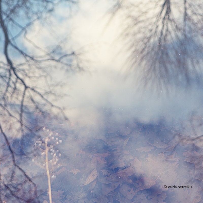 From the series "Natural Watercolours": Original signed fine art photography print 6x6 inches (15x15 cm) A rustic image in blue shades