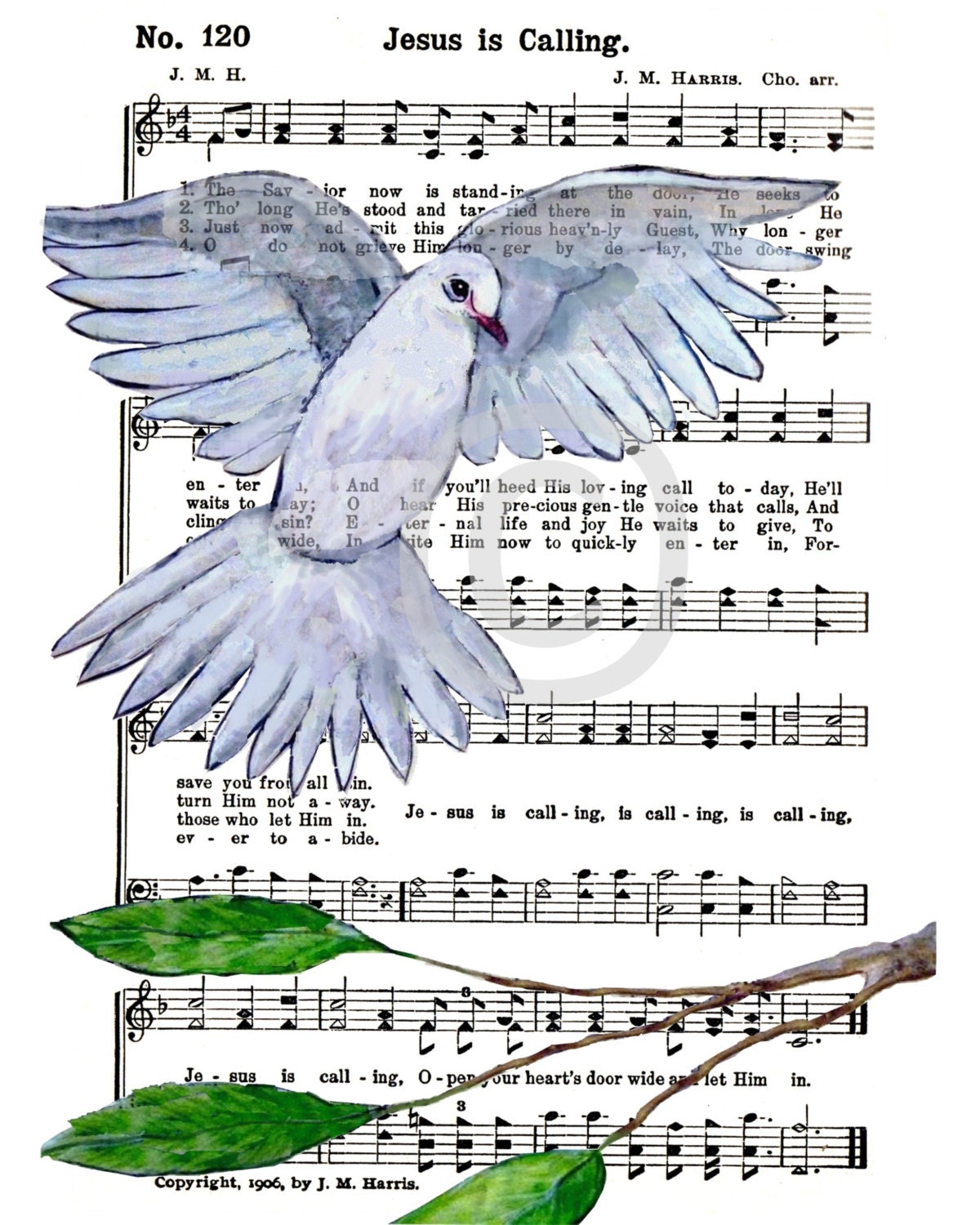 Dove 5 x 7 print of original painting
