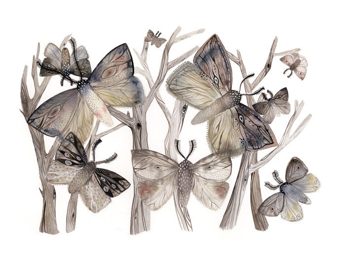 Moths No. 1  print- grey, taupe, rose- spring, nature