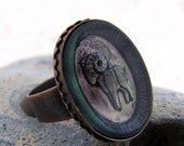 Aries Ring - Northern Lights - Antiqued Copper Zodiac Ring