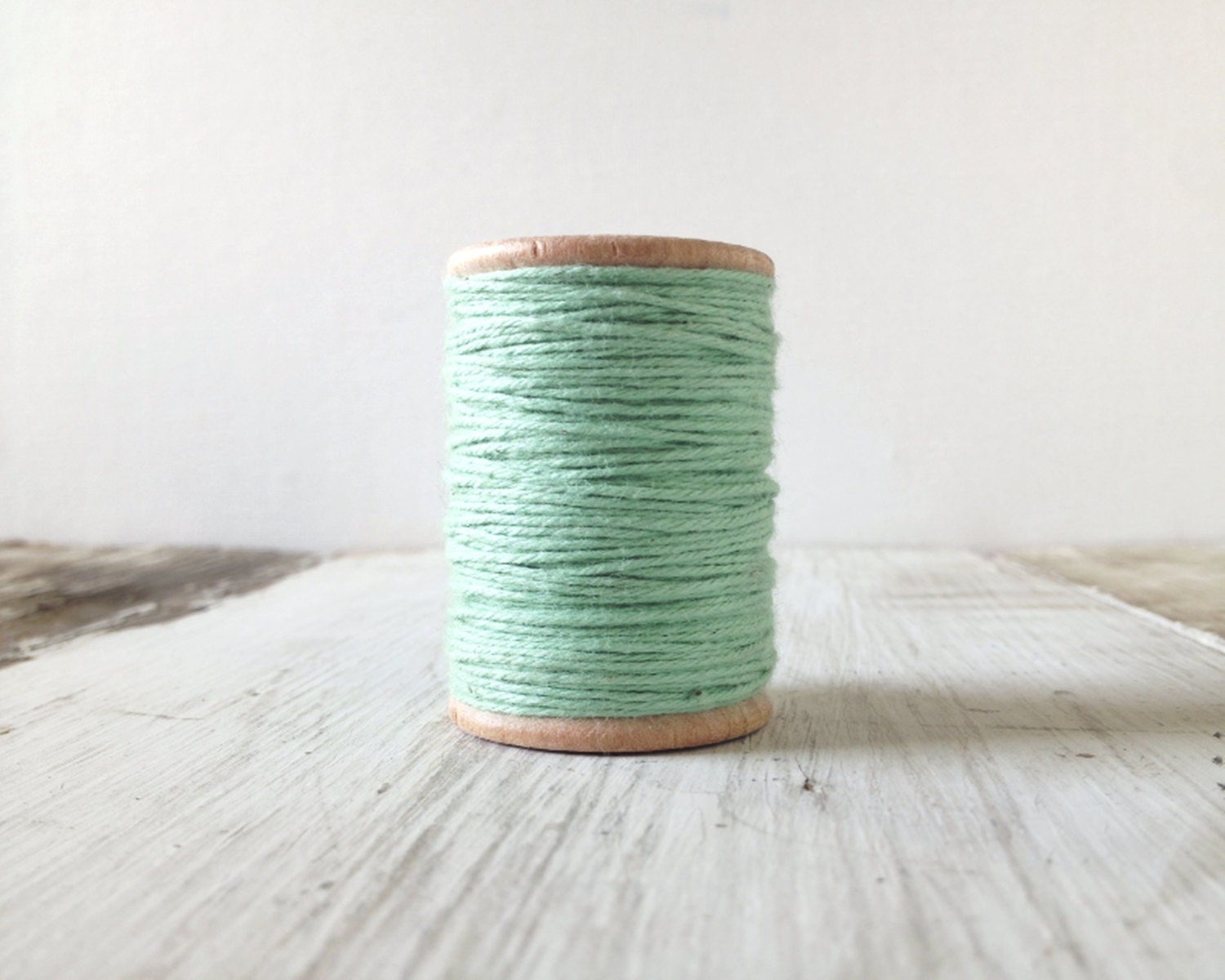 Solid Baker's Twine, SEAFOAM