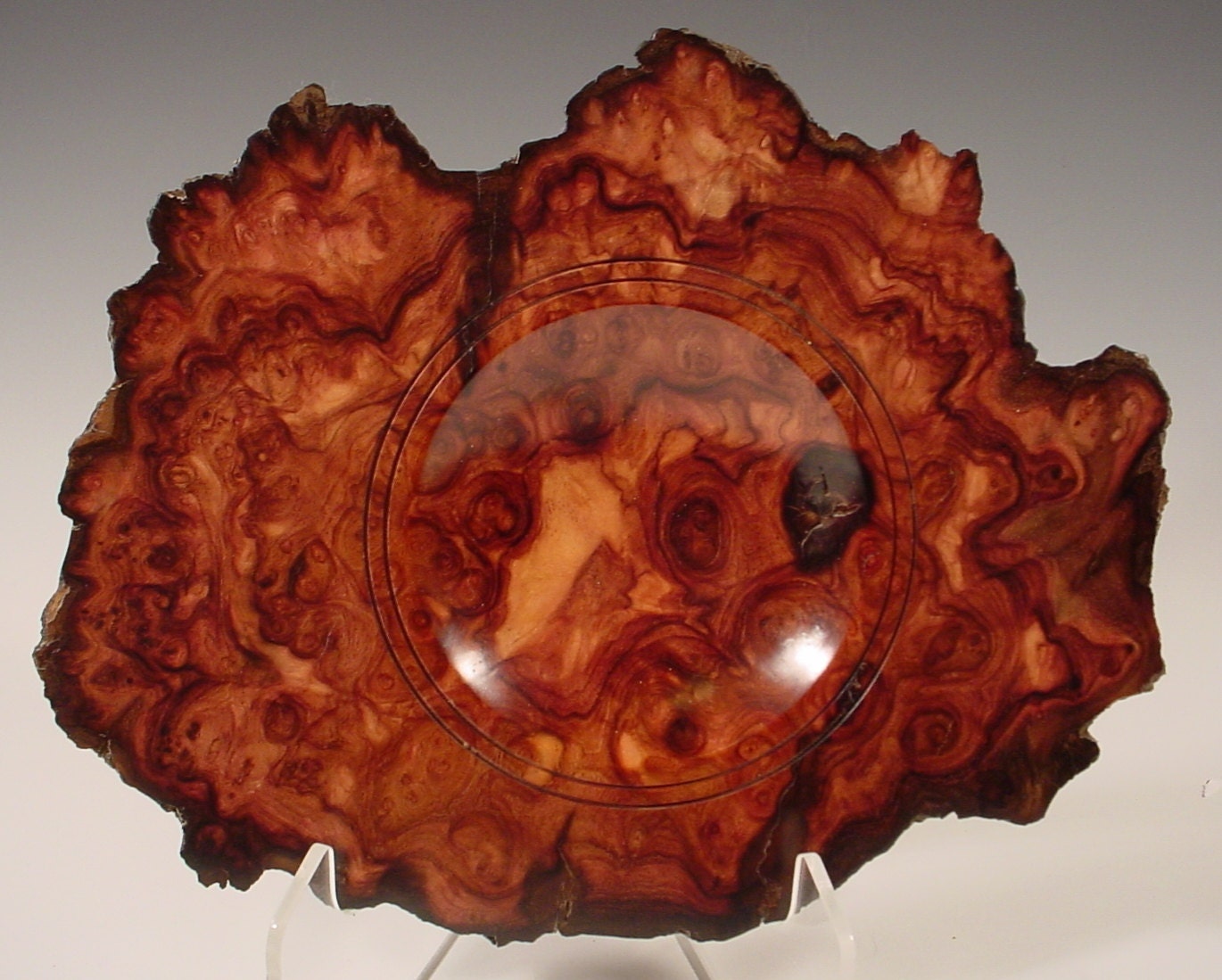 Exotic Cocobolo  Burl Rosewood Ring or Coin Dish Wood Bowl number 5075 by Bryan Tyler Nelson for Nelsonwood