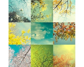 9 Abstract Sky Photographs,  8 "  Square Print Set ,  New England Sky Photos,  Tree, Flower, Snow