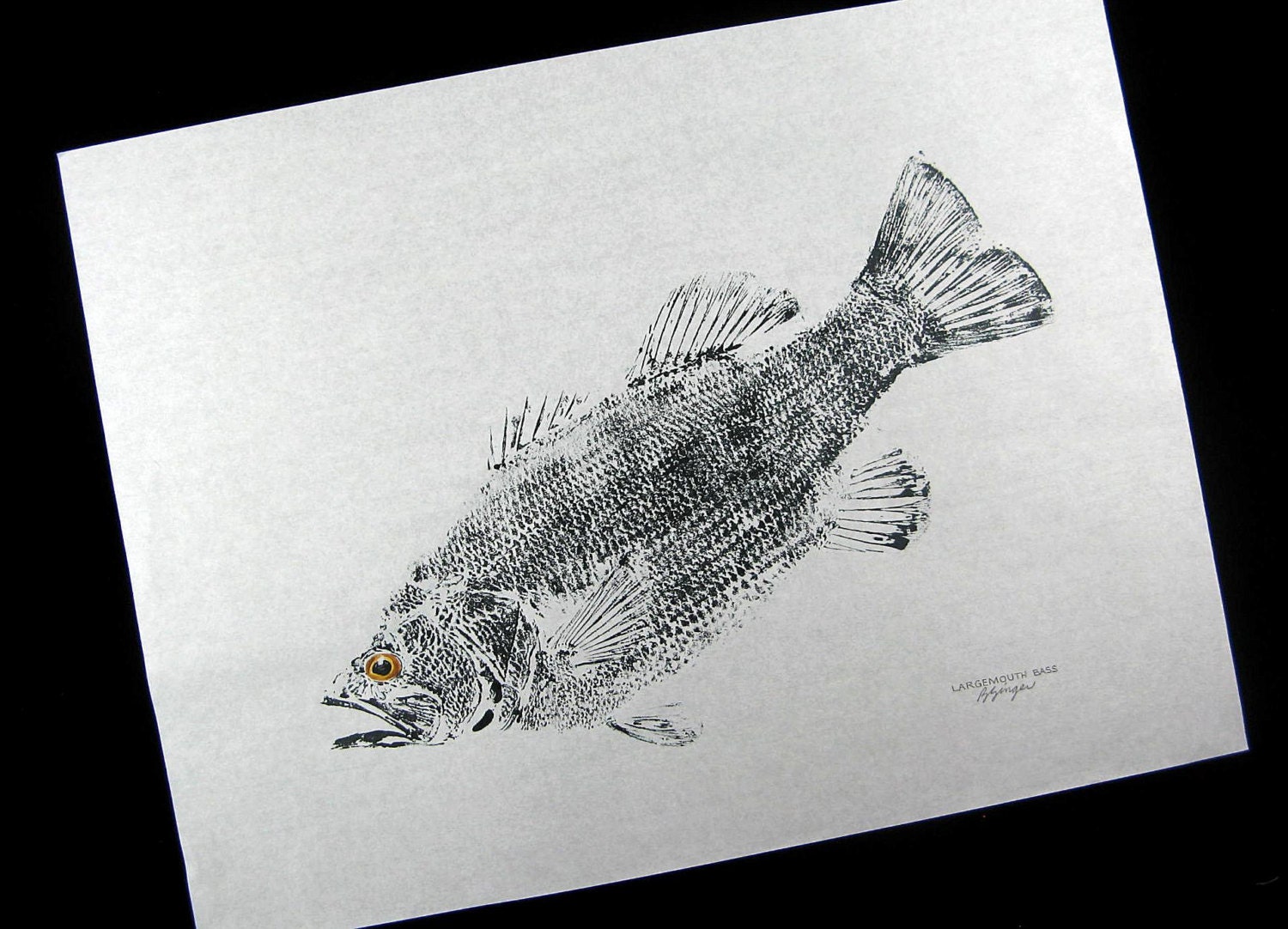 Largemouth Bass original Fish Art Rubbing GYOTAKU on Rice paper