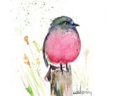 Pink Spring Robin colourful watercolor bird art 8.5x11 PRINT
