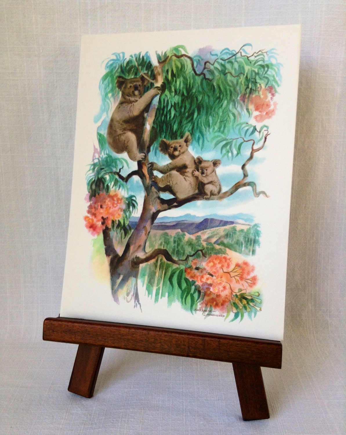 Vintage Koala Bear Watercolor Print