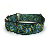 1.5" dog collar Royal Peacock wide buckle or martingale collar
