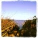 5x5 Fine Art Photograph - The Rivah - Instagram photo