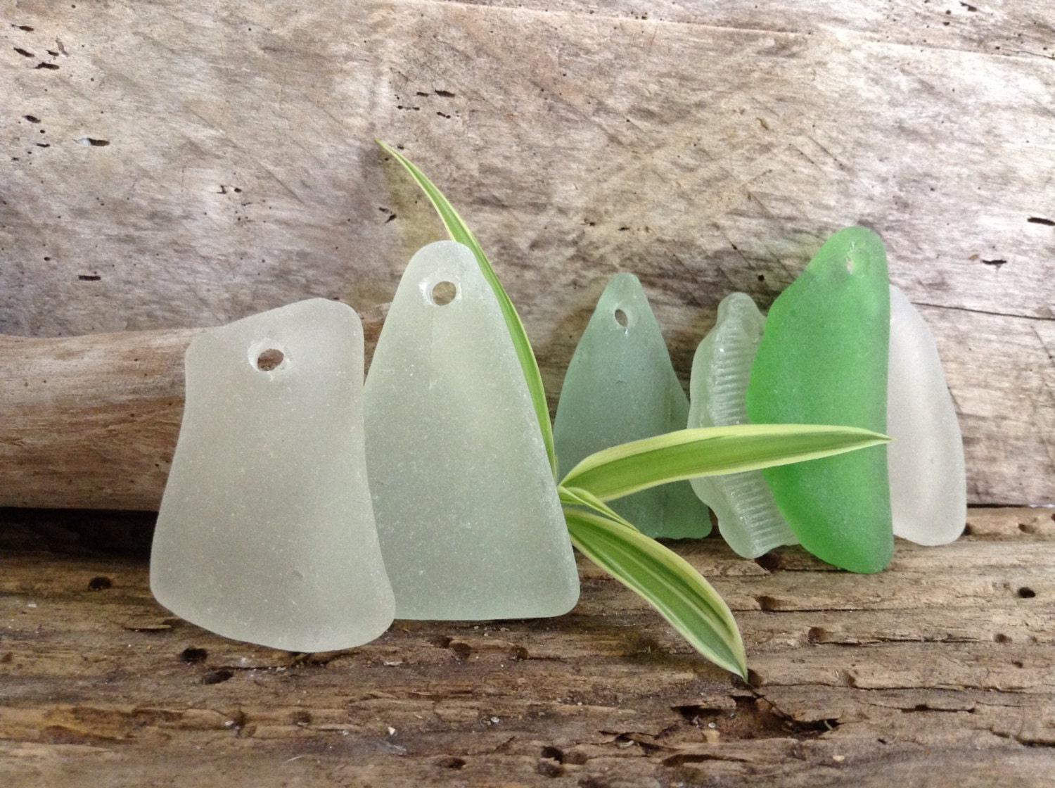SEA GLASS ...6 white aqua green drilled sea glass pendants - beach decor ooak jewelry supplies