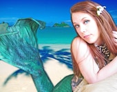 Message In a Bottle Mermaid Hair Clip