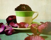 Unfold . romantic flower photography . vintage . green purple eggplant aqua turquoise . feminine wall art . sumemr home decor . 8x10