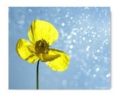 Yellow Poppy Flower Photograph 11X14... Home Photography Prints Nature Photography Nature Lover Woodland Scene Flower Botany Print