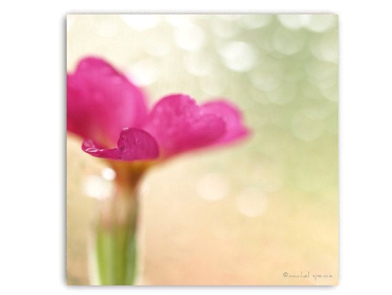 Heart Shaped PetalsFlower Photograph Flower Print...Nature Photography Nature Lover Woodland Scene Flower Botany Print
