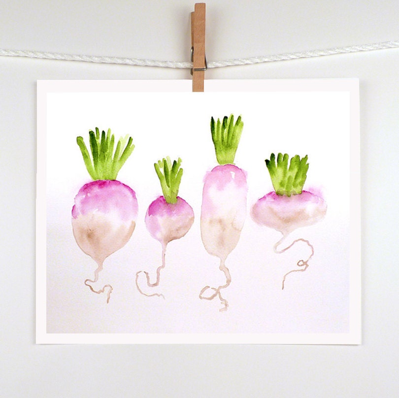 Turnips in Painting Watercolor Print - Vegetable Painting Food Art - Men Women - Kitchen Home Decor Wall Decor Purple Green 7.6 x 9.6
