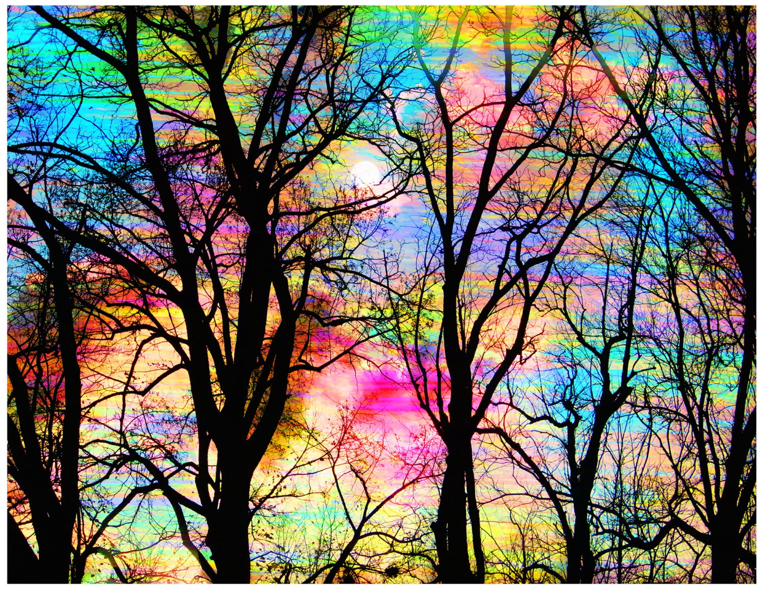 Cotton candy, sky, trees, 16x20, Fine Art photography, Nature photography, cheerful art, happy, landscape