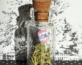 Miniature Bottled Treasure Terrarium - The Pink Butterfly Collector -