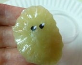 Mini Microbe Friend Sheila With Petri Dish
