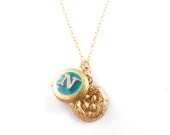 N is for Nest Locket
