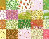 PRESALE Briar Rose by Heather Ross, Fat Quarter Set, WHOLE Collection