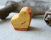 Little Spring Chick