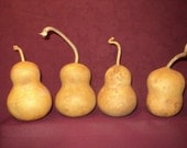 Craft Gourds 4 Chubby Mini Craft Gourds, Christmas Ornaments  (Item K)