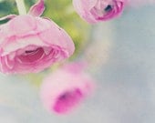 Fine art flower photography print, pink peonies garden, purple, botanical, spring floral vase