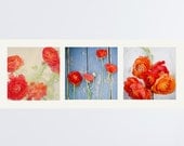 Ranunculus flower prints - set of three, 8x8 collage, Nature Fine Art Photography, Spring blooms