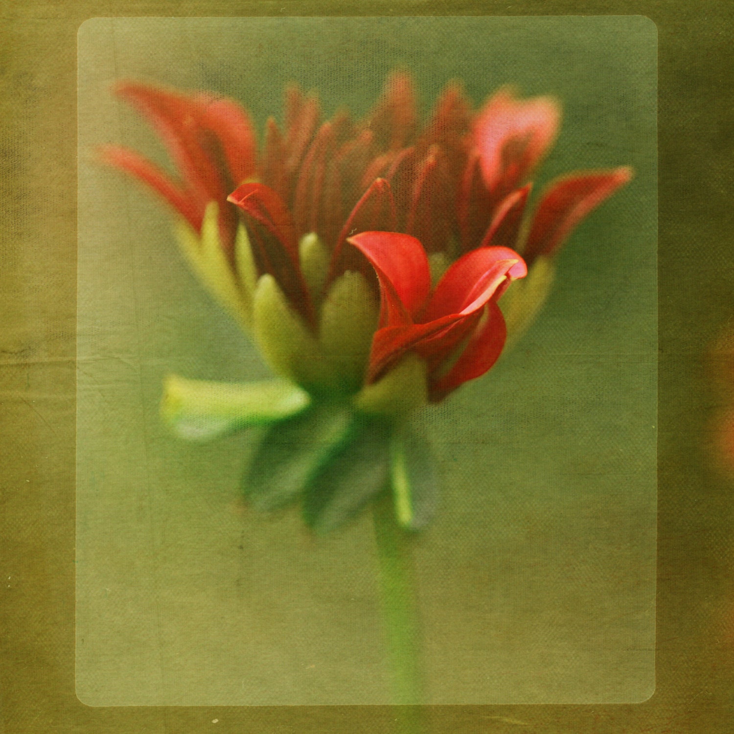 But I Do 8x8 Print