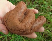 Dog Poop Soap - Mens Soap Fathers Day Novelty Handmade Soap - man men him pet lover dog funny gag gift prank men bath grooming