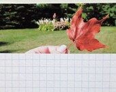 Project Life Journaling Cards, Nature