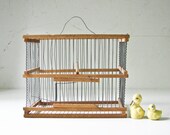 Vintage Birdcage - Display Box - Plant Holder