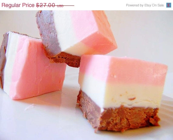 SALE Julie's Fudge - NEOPOLITAN - 12 Pieces - OVER 1 1/2 pounds