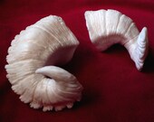 Small Customizable Plastic Resin Ram Horns
