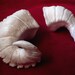 Small Customizable Plastic Resin Ram Horns