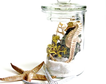 Lichen Terrarium / Nautical Home Decor Accessories / Seahorse Specimen Jar