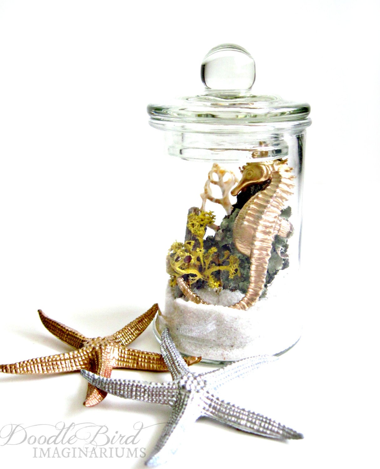 Lichen Terrarium / Nautical Home Decor Accessories / Seahorse Specimen Jar