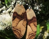 Super Huge Crazy Pattern Camatillo Mexican Kingwood Wooden Earrings