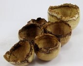Ancient Heroes - Black Locust Burl Bowls