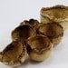 Ancient Heroes - Black Locust Burl Bowls