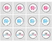 Elephant Gender Reveal Baby Shower Cupcake Toppers DIY File Il_170x135