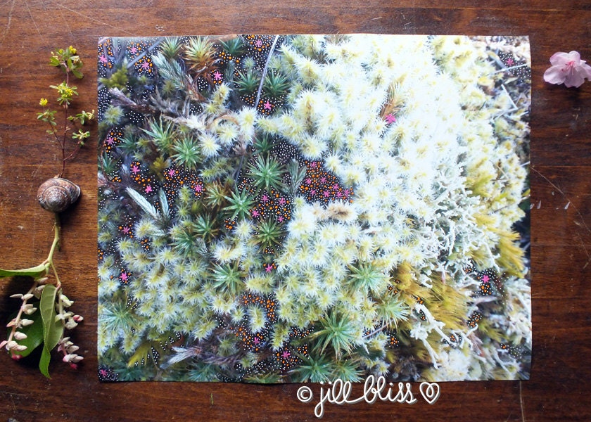 Moss Love No. 30, 11" x 14" original mixed media artwork on paper
