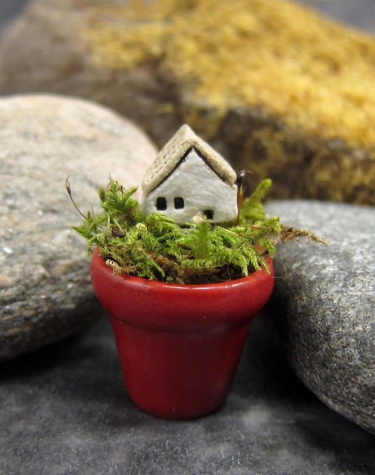 Plant A Home...Miniature House with Red Terracotta  Pot