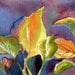 Hosta Watercolor Print