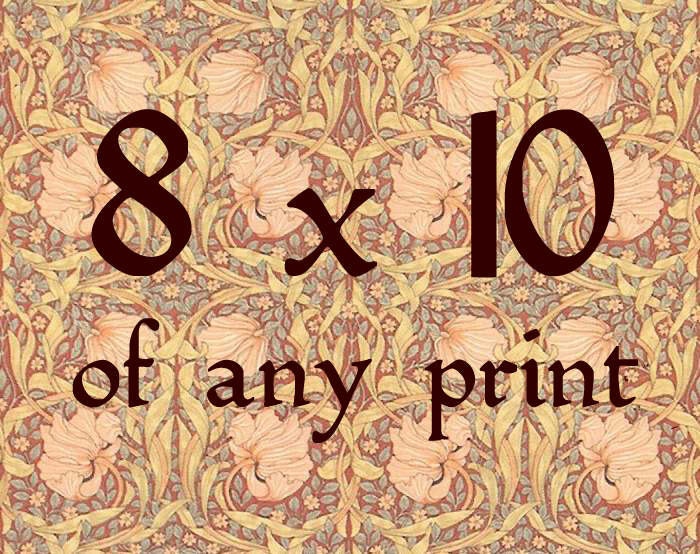 ANY PRINT in 8" x 10" for 15