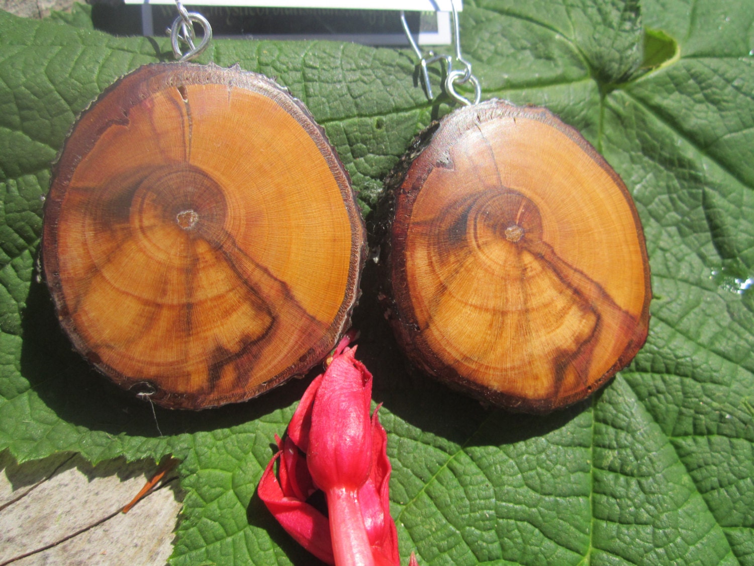Beautiful Incredible  Flowering Plum  Picture Wood Wooden  Earrings-....151