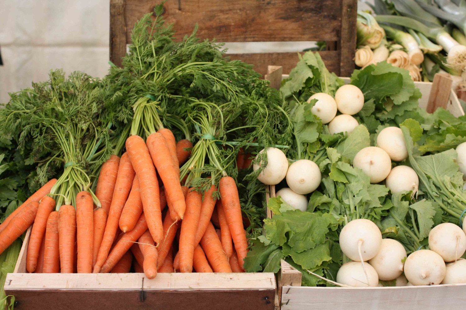 Food Photography - Paris Market Days - Orange Carrots - White onions - Paris, France 8x10 fine art photograph  - kitchen wall art
