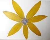 Pressed Flower Card Yellow Sunflower Blank Greeting Card