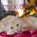 Reserved for Trecia
