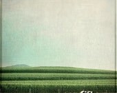 40% OFF SUMMER SALE Animal Photography, Farm, Cow, Country Home Decor - Mariella - 8x8 Signed Print by Tina Crespo Philadelphia Photographe